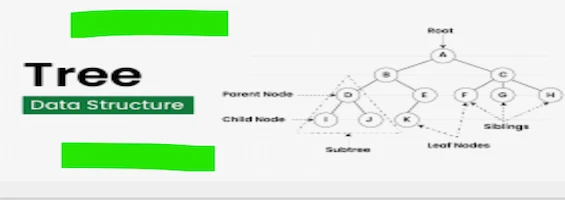 tree Data Structures